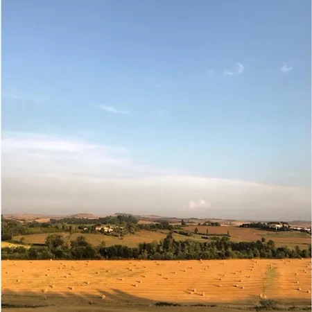 Poderecasello Vicodarbia Siena *