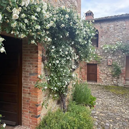 Poderecasello Vicodarbia Siena Vico d'Arbia